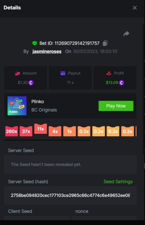 11x.jpg